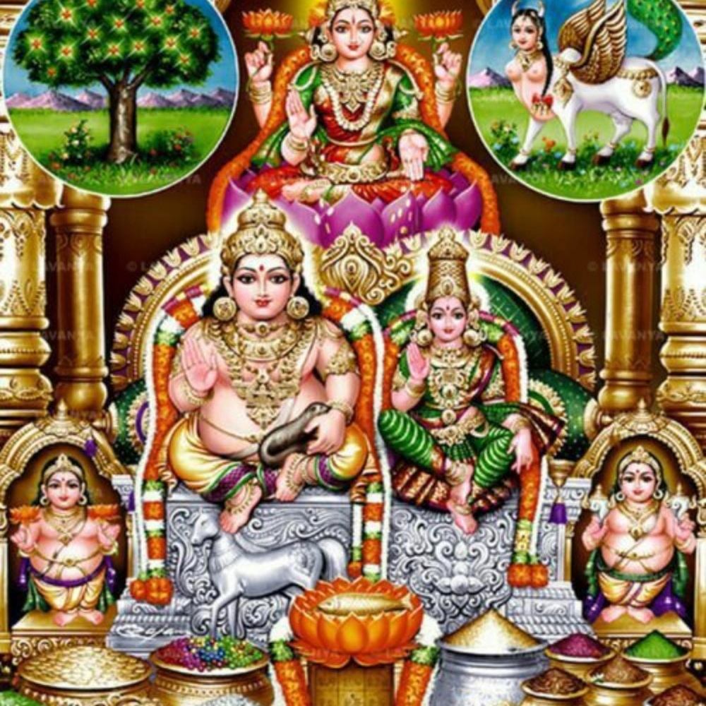 Meet your Posher, Sridevi